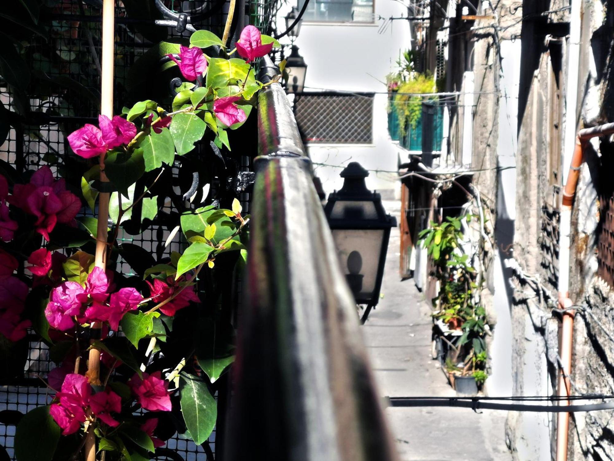 Terra D'Amuri Palermo Esterno foto